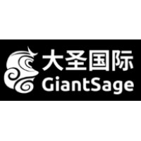 GIANTSAGE logo - Similar company to Rsrd Technologies Inc