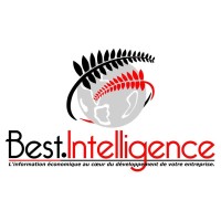 BEST INTELLIGENCE logo - Similar company to Grime (Protection Des Entreprises Et Intelligence Economique)