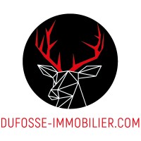 Dufossé Immobilier logo - Similar company to Citya Immo Concept