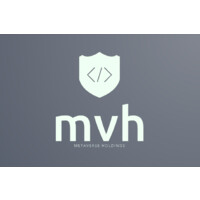 Metaverse Holdings Limited logo - Similar company to Deepwave