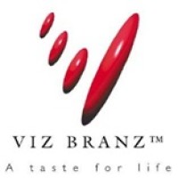Viz Group Global logo - Similar company to Avium