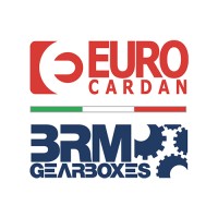 Euro_BRM logo - Similar company to Renzacci S.P.A. - Industria Lavatrici