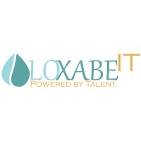 Loxabe IT GmbH logo - Similar company to Negenet