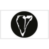 Medium Rare Digital Ltd.