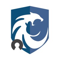 NOISE CIBERSEGURIDAD logo - Similar company to Network Secure El Salvador