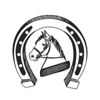 Killarney Jaunting Cars Ltd - Tangney Tours Ireland logo - Similar company to Tangney Tours