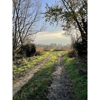 The Writing Path