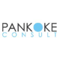 Pankoke Consult logo - Similar company to Scheithauer Fertigungstechnik Gmbh