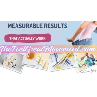 Feel Great System Works logo - Similar company to The Feel Great System By Doug Collins