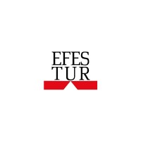 EFESTUR TRAVEL AGENCY Inc. logo - Similar company to Exit Mice