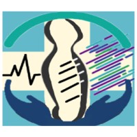 PriMedix Solutions logo - Similar company to Roar Solutions Australia