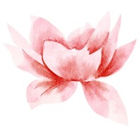 Lotus HR and Recruitment logo - Similar company to Morpheus Recruitment