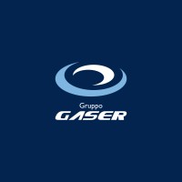 Gruppo Gaser® logo - Similar company to Wroooom