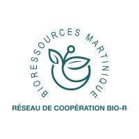 Réseau BIO-R logo - Similar company to Frères Lauzéa