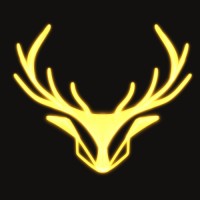 Raiki E-Sports logo - Similar company to Eva Communication Digitale