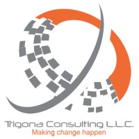 Trigona Consulting L.L.C. logo - Similar company to Zee Solutions Corp