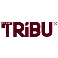 Esprit-Tribu logo - Similar company to Iswt