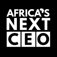 Africa's Next CEO logo - Similar company to Civic Observer