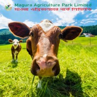 Magura Agriculture Park Limited logo - Similar company to Accigone