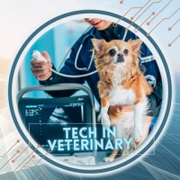 Tech in Veterinary logo - Similar company to Skillfill Talent - Recruitment For Animal Health, Animal Nutrition, Agri-Business, Fmcg In Asia