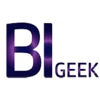 BI-Geek logo - Similar company to Neway E-Soft