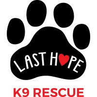 Last Hope K9 Rescue logo - Similar company to Cloudburst Games