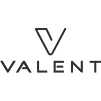 Valent logo - Similar company to Arkido Ab