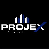 ProjeX Consult logo - Similar company to The Projex Group