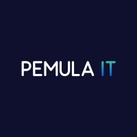 Pemula IT logo - Similar company to Ivalue It Consulting