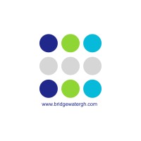 Bridgewater Africa logo - Similar company to Obsidian Achernar