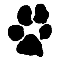 Black Paw logo - Similar company to Lotusgo