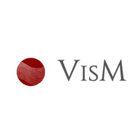 VisM - Vital Independent School Mentoring