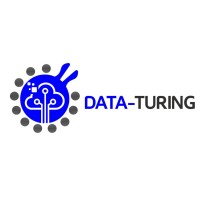DATA-TURING logo - Similar company to Itdevgiant | Information Technology Development Giant