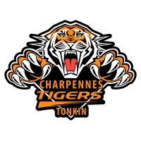 TONKIN TIGERS logo - Similar company to Cefedem Aura