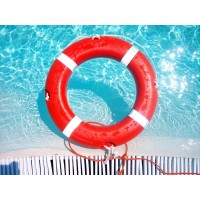 Lifeguard Society® logo - Similar company to Blue Guard Me