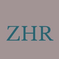 Zander HR Solutions logo - Similar company to B&T Solutions Gmbh