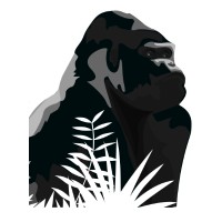 Silverback Network, Inc. logo - Similar company to 2K Networking, Inc