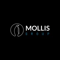Mollis Group logo - Similar company to Red Penetration Testing Services