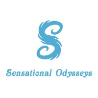 Sensational Odysseys logo - Similar company to Box Anything Digital