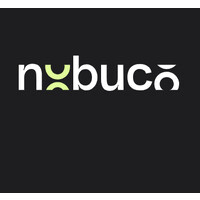 NoBuCo logo - Similar company to Fusion Consulting