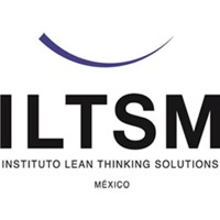 Instituto Lean Thinking Solutions México logo - Similar company to Macajillo