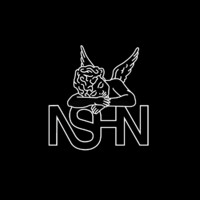 NASHION logo - Similar company to Kosmiko Hill
