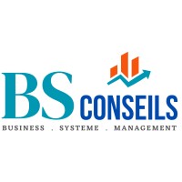 BS CONSEILS GUINEE logo - Similar company to Gadhasoft Security Solution