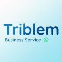 Triblem logo - Similar company to Dynmatrix Global Solution Pvt Ltd