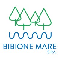 Bibione Mare S.p.A. logo - Similar company to Associazione Centro Studi Teorema