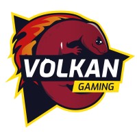 Volkan Gaming logo - Similar company to Willko Smartspace