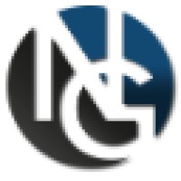 The Noonan Group logo - Similar company to Silicon Valley Microelectronics
