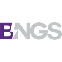 BNGS S.C. logo - Similar company to Pcsecure