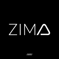 ZIMO GROUP logo - Similar company to Terminus Technologies