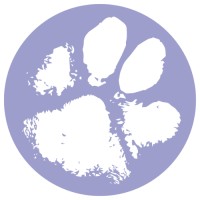 VetCoach International- Life Coaching for Small Animal Vets logo - Similar company to Vetcoach
